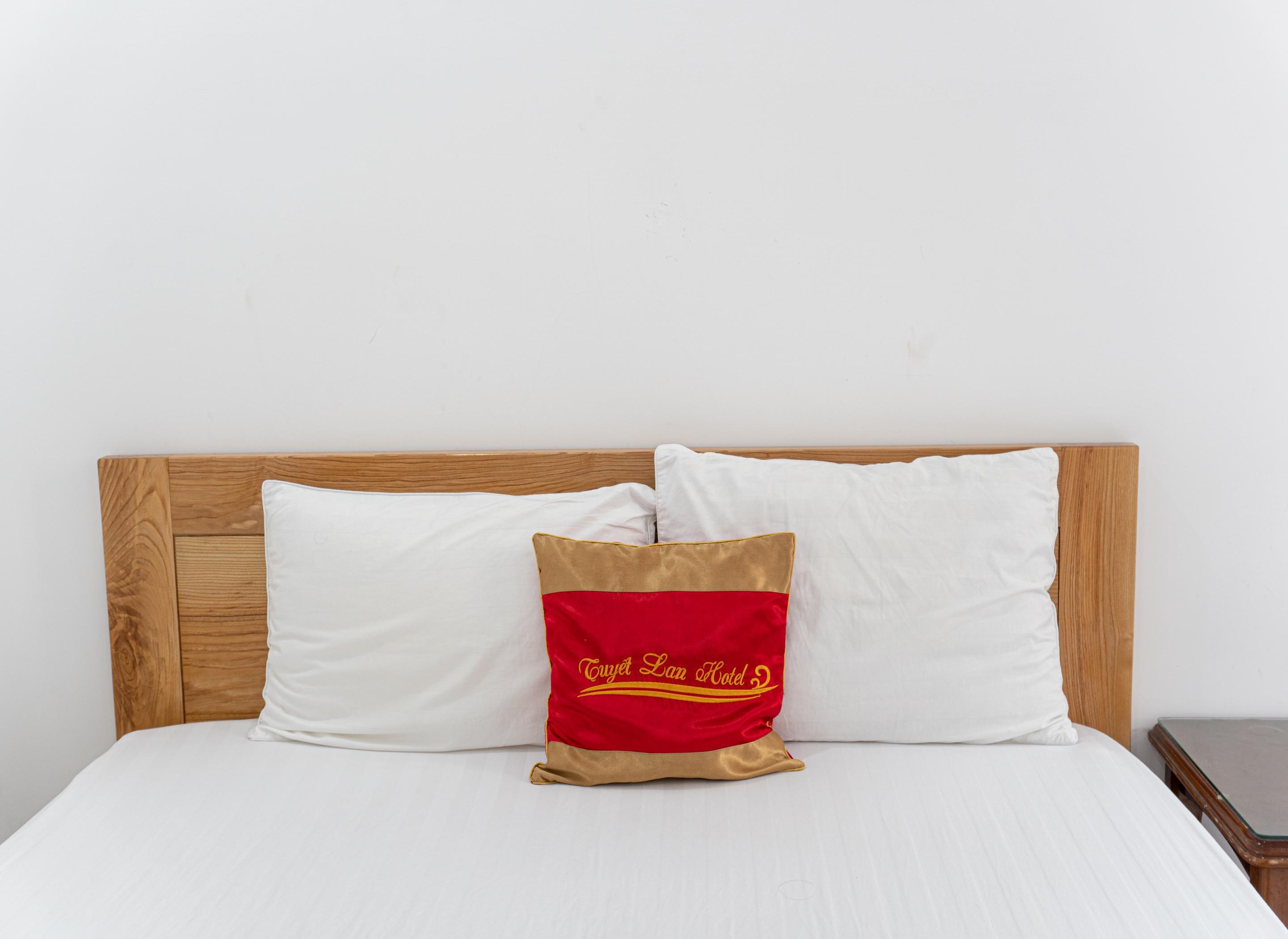 Tuyet Lan Hotel Vung Tau Extérieur photo